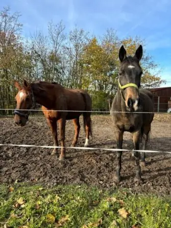 3a25dfee-0e60-4616-a0ab-34d89355e18e