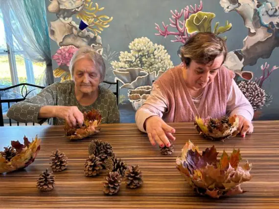 40446deb-1bfa-497c-ad30-a0cb59250af0