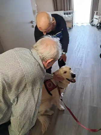 44c687dd-8d8c-48dd-b0e6-51bfe059bcef