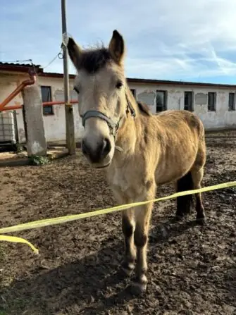 465dec2a-3858-4215-89aa-2fbc80b8b9ce