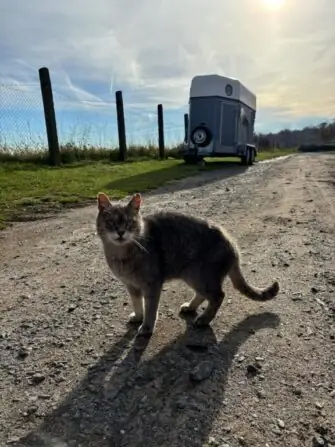 50a92bc6-9335-4db3-8510-de8acc7512ec