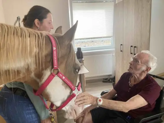 52ac9bcb-e8df-4fd3-80f6-5a17e6710a07