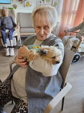 58fe15fd-bd93-469d-96e3-2c3940c8df60