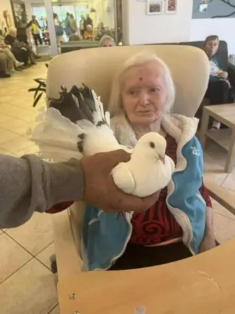 5c8d44fa-d384-45d1-886f-381eeb52413c