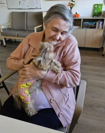 7a544174-894d-4312-8681-51efaae67c36