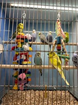 7b2f91f0-e688-4810-8284-86aa4a555141