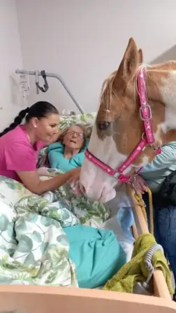 893421dc-7d31-4d3c-9955-38e690996a0c