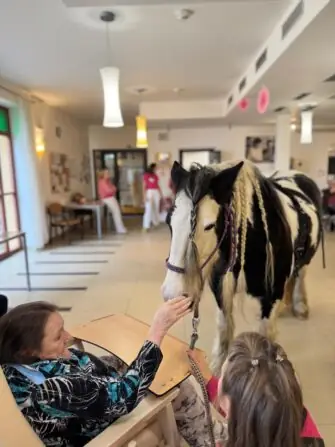 IMG-20251118-WA0002(1)