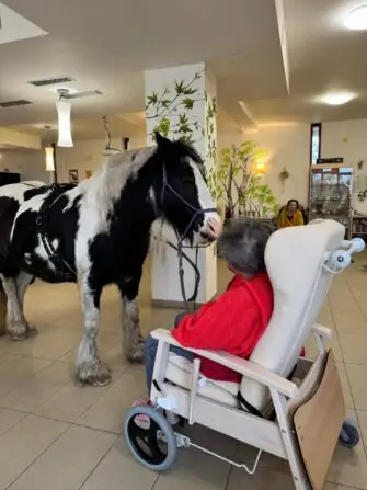 IMG-20251118-WA0007(1)