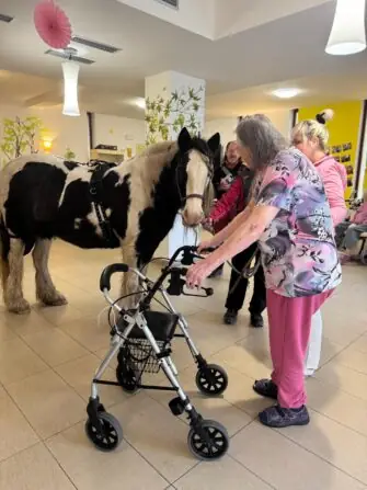 IMG-20251118-WA0009(1)