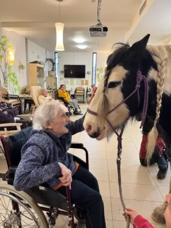 IMG-20251118-WA0011(1)