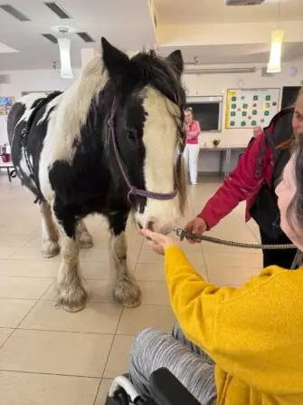 IMG-20251118-WA0012(1)