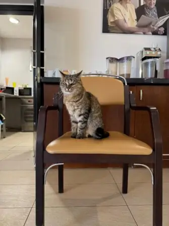 IMG-20251118-WA0013(1)