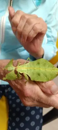 Obrázek WhatsApp, 2025-10-09 v 15.27.11_ba152417