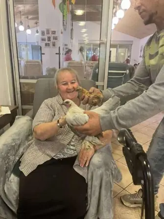 c3d5aa61-f24c-4980-b01e-3c0738396c4e