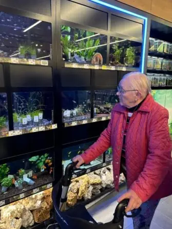 c595cbe8-e622-424e-aa99-747d1748f1ef