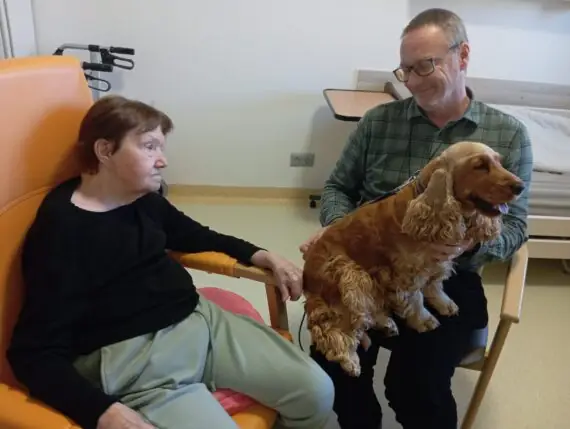 cd8deb37-f1d2-4a93-bff1-077d202a837e