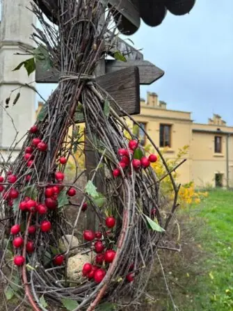 cf94d6e6-7785-4659-8fee-cd8cd3259844