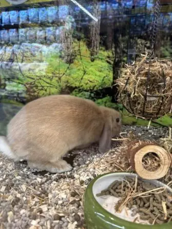 d1b6d706-c96e-4f8d-bd23-f9c02dae64d2