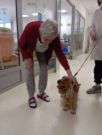 dd30e117-0dc6-401d-9576-b064d831647d