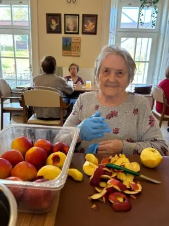 dýnový koláč (12)