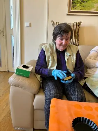 dýnový koláč (15)