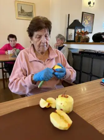 dýnový koláč (16)