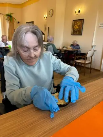 dýnový koláč (25)