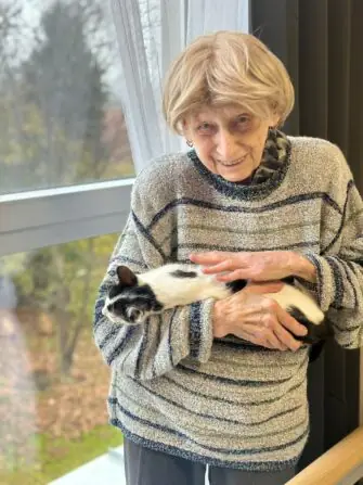 e25d2fe6-54bb-43d2-a6bc-d82c326d7951