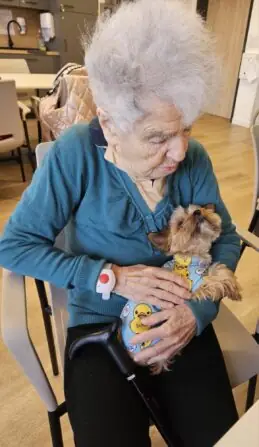 f022f008-a1f0-43ce-95b9-a29c208da6fd