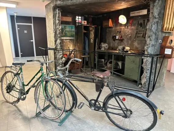 thumbnail_image3 (2)