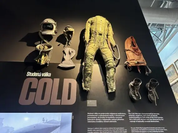 thumbnail_image7 (1)