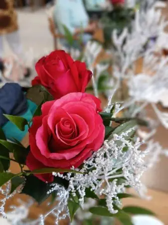 Obrázek WhatsApp, 2025-11-28 v 15.32.00_8e768283