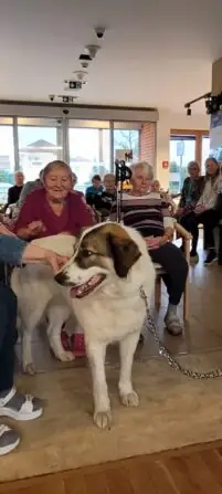 WhatsApp Image 2025-12-02 at 13.48.38