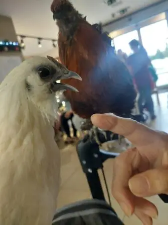 WhatsApp Image 2025-12-02 at 13.56.54