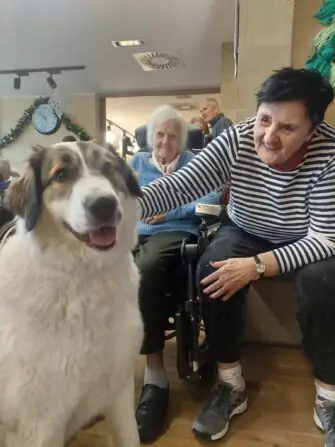 WhatsApp Image 2025-12-02 at 13.57.00