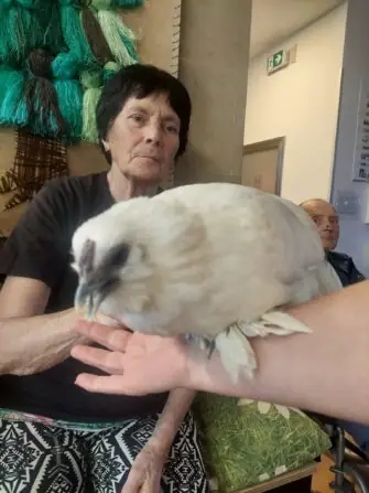 WhatsApp Image 2025-12-02 at 13.57.02