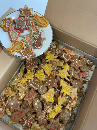 WhatsApp Image 2025-12-04 at 11.45.55