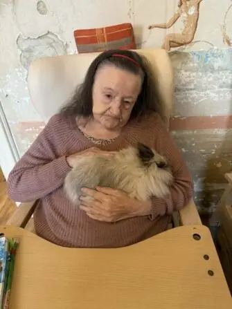 2025 12 králíček jarmilka (3)