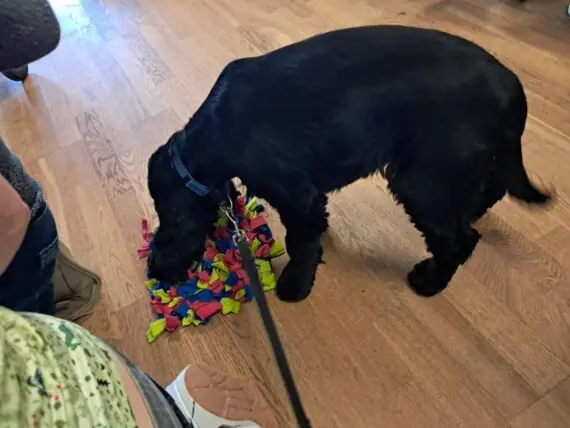 20250529_101207-1536x1152