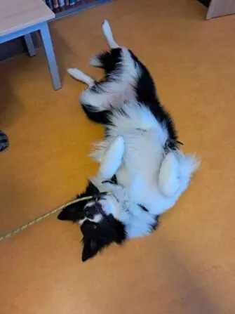 20250529_105734-1152x1536