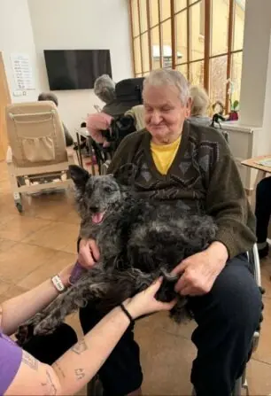 2026 01 09 canisterapie (1)