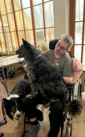 2026 01 09 canisterapie (10)