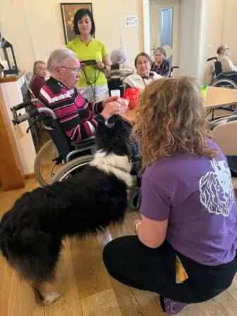 2026 01 09 canisterapie (14)