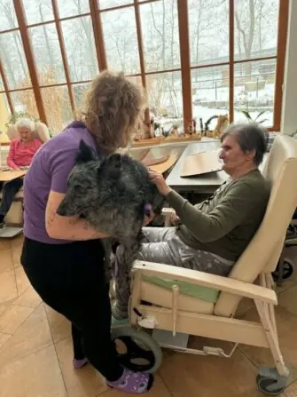 2026 01 09 canisterapie (4)