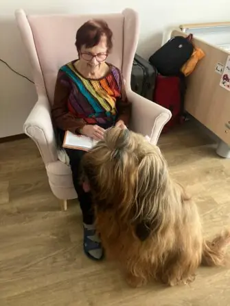 2d852d28-5b22-45ca-8fd6-c08fb358d09a.JPG 21