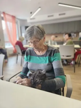 7a44c28c-4af6-4072-8ff5-4d7d224c405e