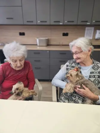 9b4a6834-9d79-4076-8dc5-4d381c75b440