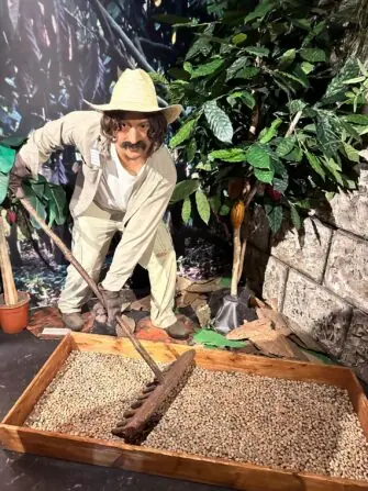 9f44dc75-58a0-47d6-931f-0f0ed955d2ed