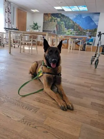 IMG-20250307-WA0006-1152x1536